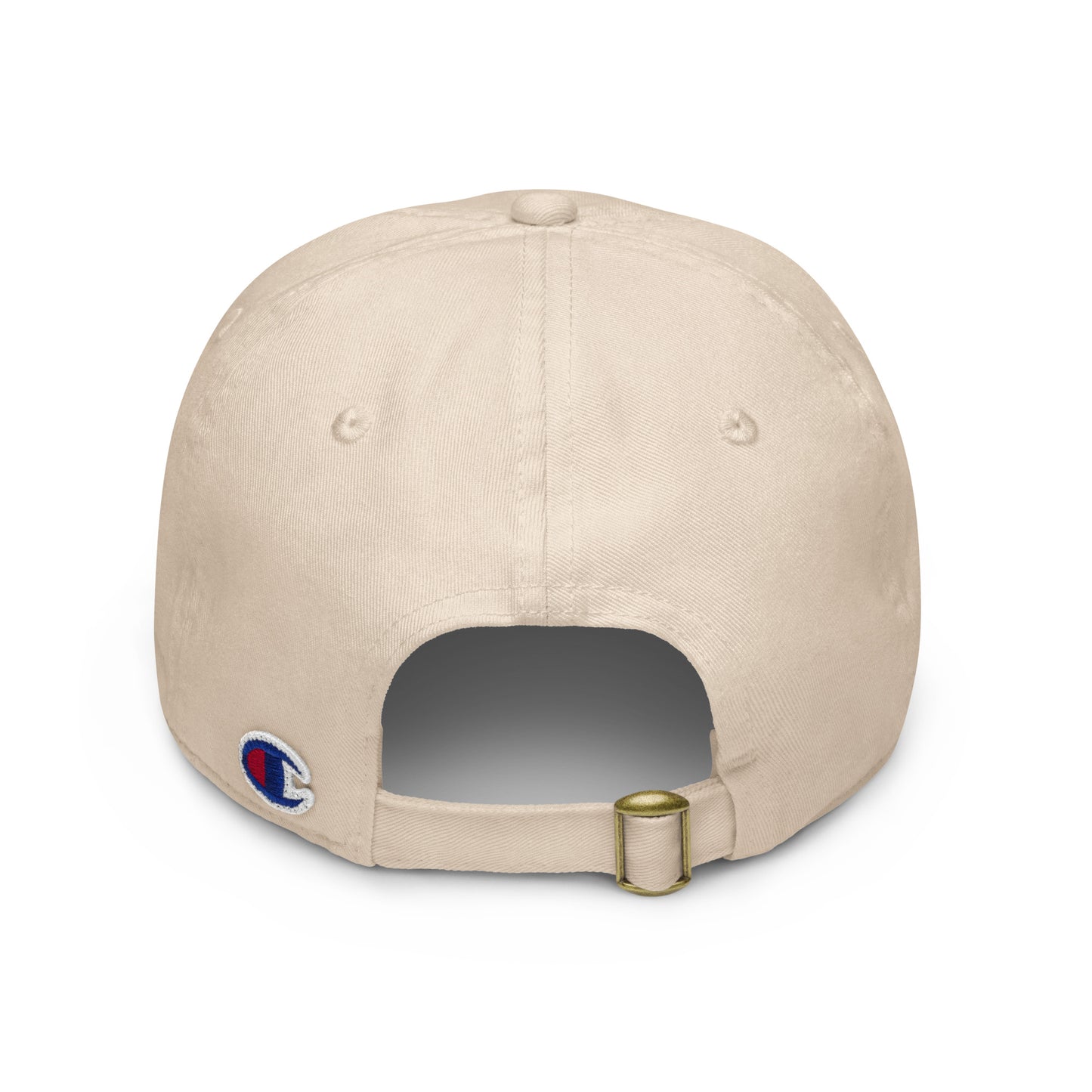 WDS Logo - Dad Hat